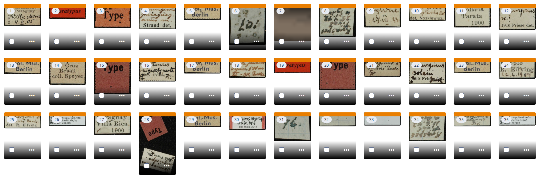 Screenshot 2025-08-08 111924